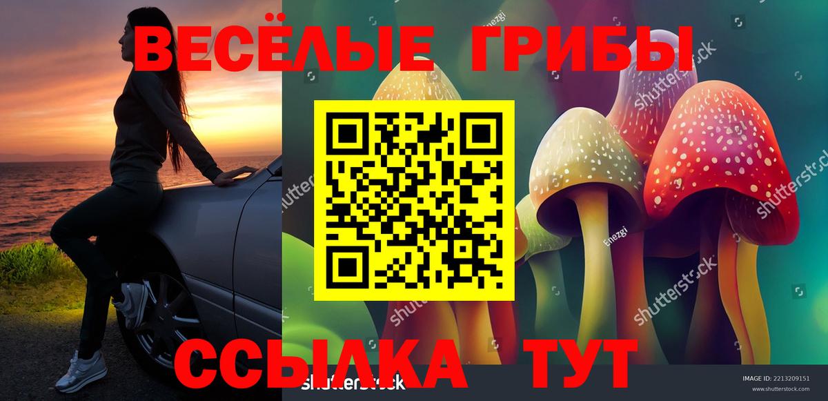 Псилоцибиновые грибы прущие грибы  Псилоцибиновые грибы прущие грибы  Бузулук  Вход с VPN 
